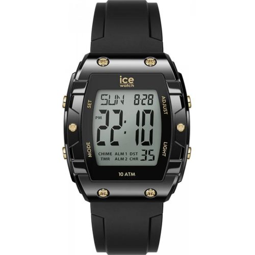 Ice Watch 024 564
