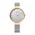 Bering 12034-010