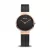 Bering 14531-166