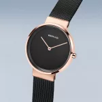 Bering 14531-166
