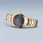 Bering 17331-732