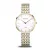Bering 19334-010 - 19334-010