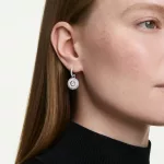 Swarovski 5738193