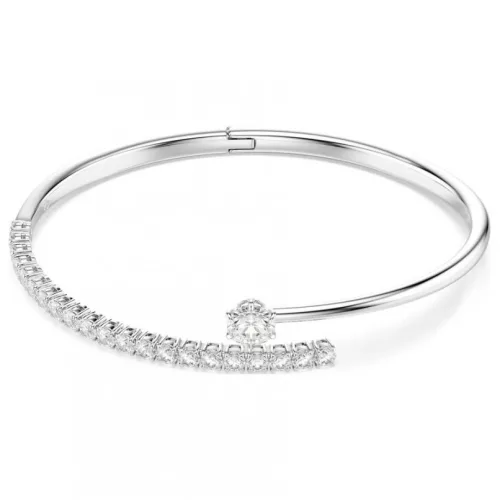 Swarovski 5753571