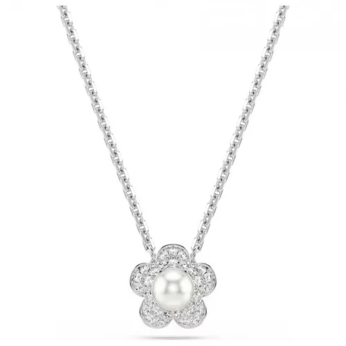 Swarovski 5755817