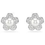 Swarovski 5756098