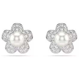 Swarovski 5756098