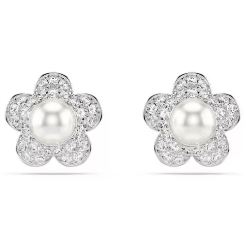 Swarovski 5756098