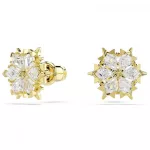 Swarovski 5757816