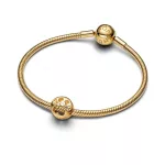 Pandora  - Áttört mancs charm