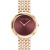 Calvin Klein CK25100067 - CK25100067