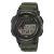 Casio WS-1800-3AVEF