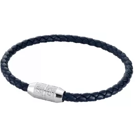 Zeades ZMB02579 - ZMB02579