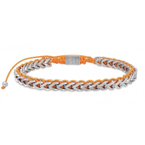 Zeades ZMB02791 - ZMB02791