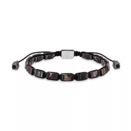 Zeades ZMB02839 - ZMB02839