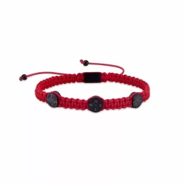 Zeades ZMB02863 - ZMB02863